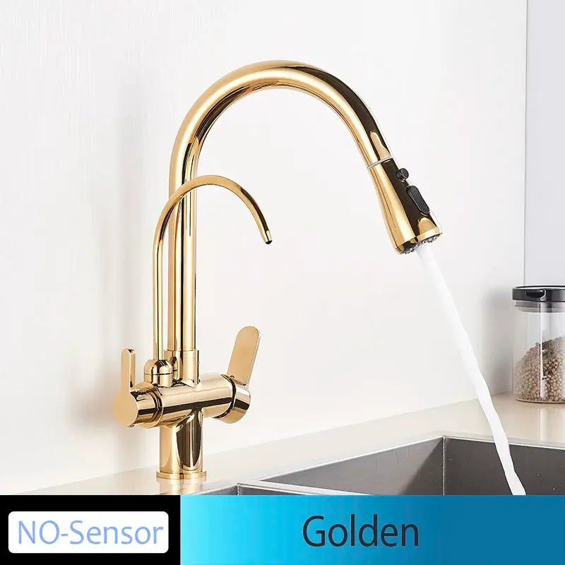 Golden kitchen faucet with pull-out spray, no-sensor, dual-handle, deck-mounted.