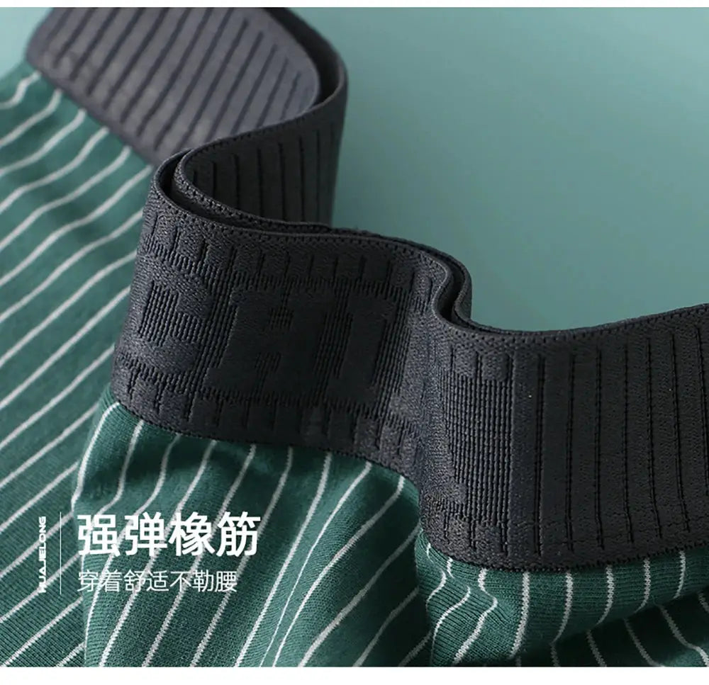 Panties 3-pack for women, 100% cotton, green and white striped fabric, black elastic mid-rise boyshorts, breathable