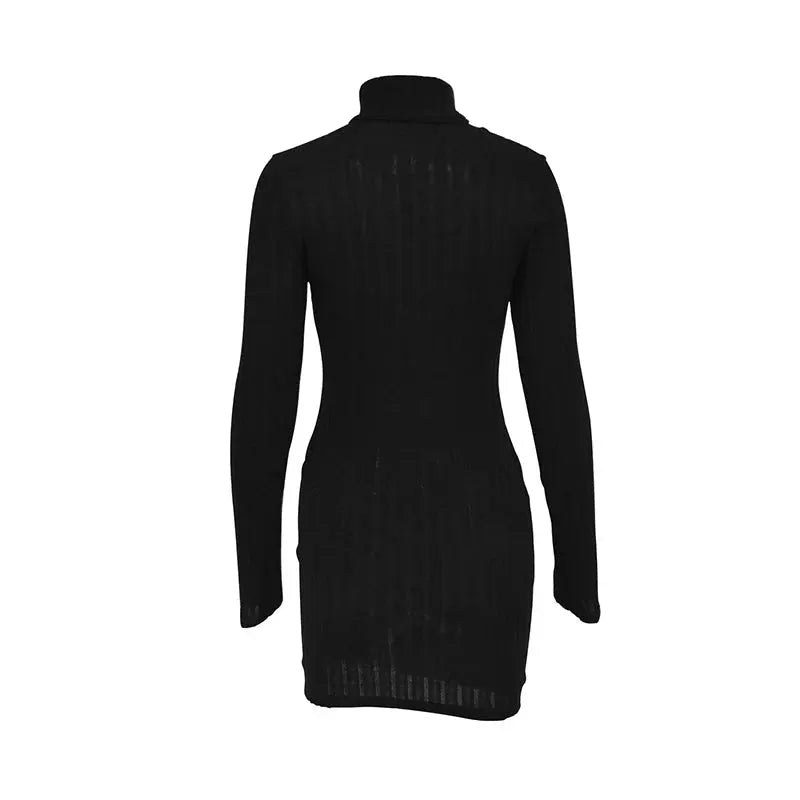 Autumn Winter Women Turtleneck Solid Knitted Bodycon Mini Dress Party