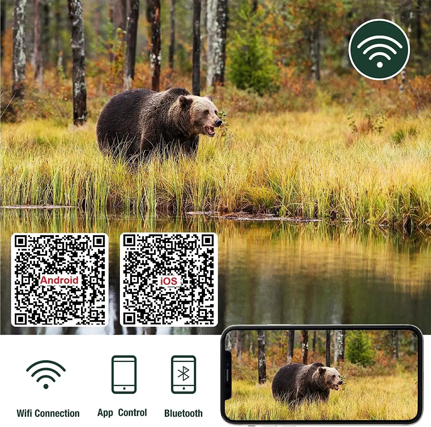 Suntekcam 20MP wireless hunting camera by Simples Market; bear in wetlands, Android and iOS QR codes visible.