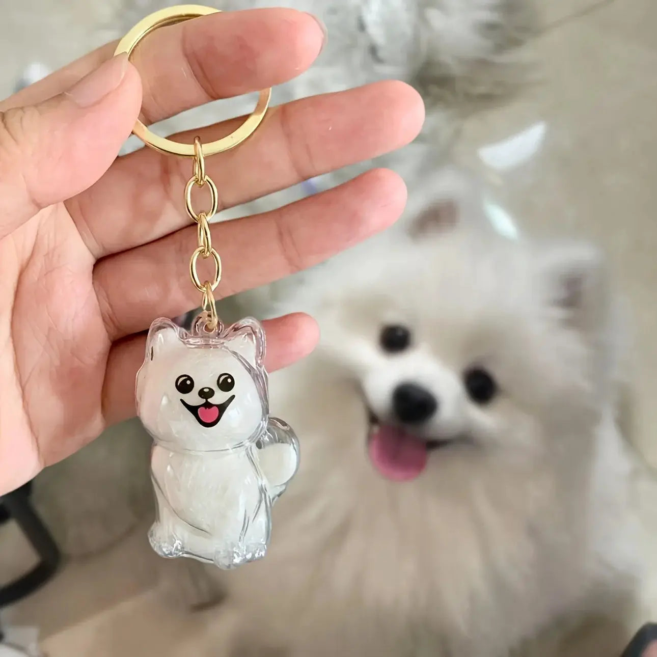 Clear Cat And Dog Hair Capsule Keychain Memorial Pendant For Pet Keepsake Do It Yourself Jewelry