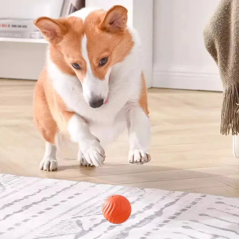 Automatic Moving Dog Toy Ball With Smart USB Jumping Rotating Interactive Chew Ball For Puppy