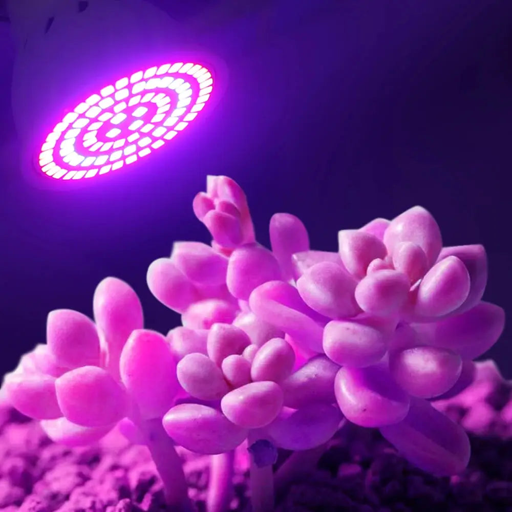 Full Spectrum LED Grow Bulb 220V E27 80 LEDs For Indoor Plants Greenhouse Hydroponic Lighting