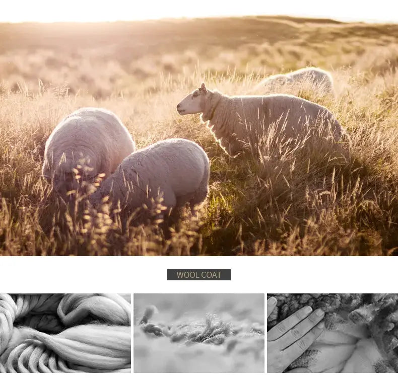 Wool coat imagery collage featuring sheep in a field and closeups of wool fibers