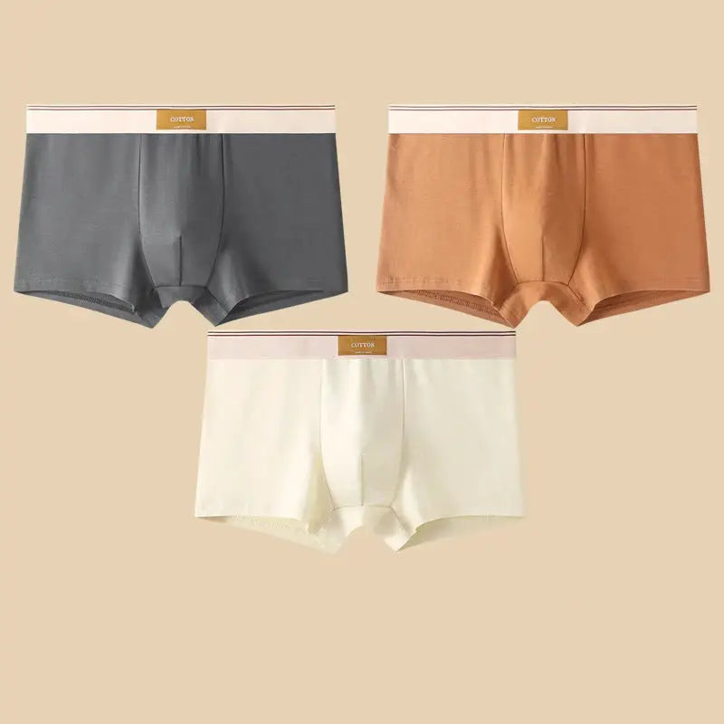 3-pack men's cotton boxer shorts in gray, tan, and ivory with Simples Market branded waistbands