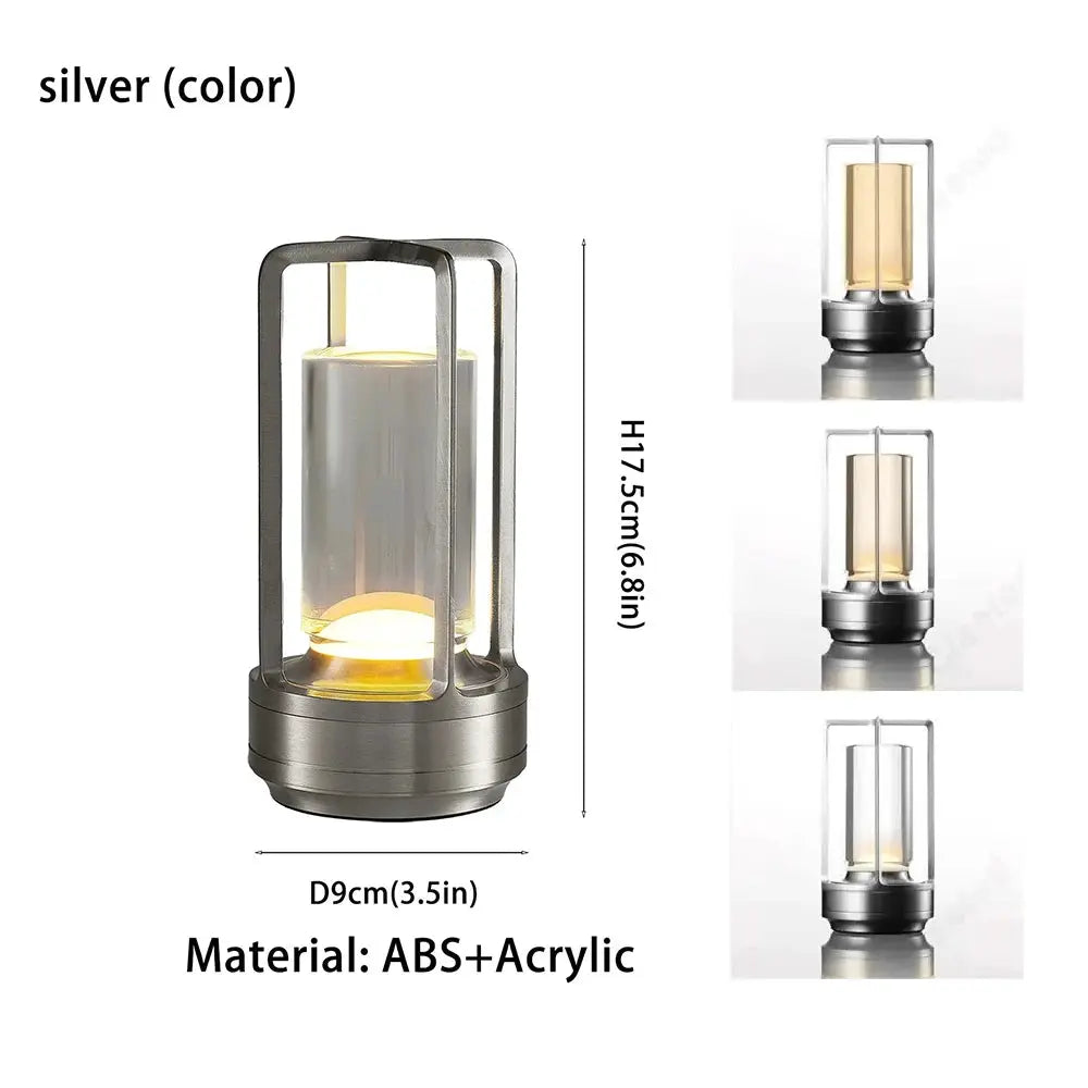 GGbingo cordless LED table lamp, silver finish, rechargeable ABS+acrylic, 6.8in tall x 3.5in dia