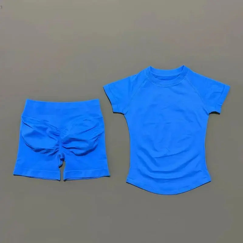 Histello 2 Piece Seamless Yoga Set Women Short Sleeve Top Leggings
