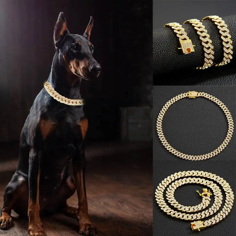 Cuban chain dog collar stainless steel with adjustable safety buckle in gold tone for small to medium dogs