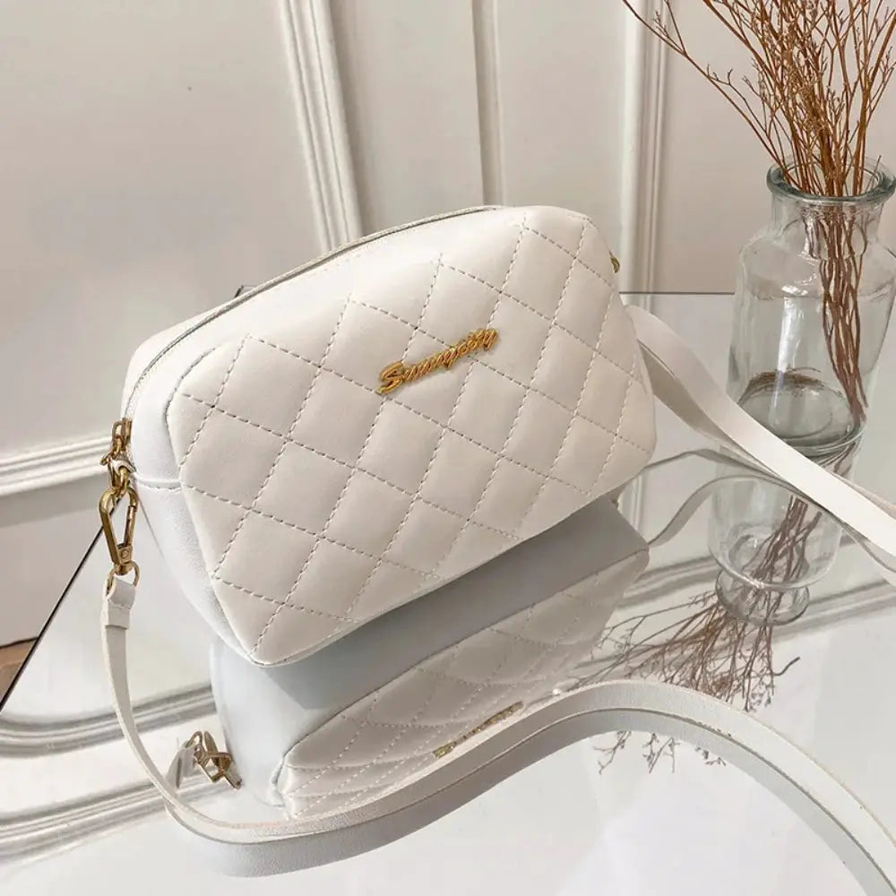 Lingge Tassel Small Crossbody Messenger Bag With Camera Compartment For Women Elegant Compact Everyday Bag