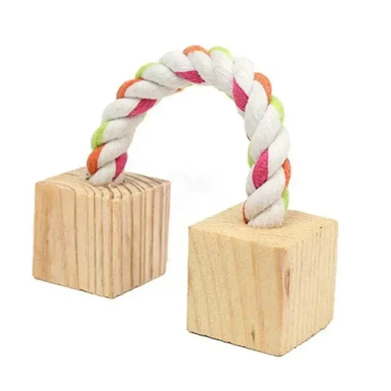 Simples Market wooden dumbbell chew toy for small pets, two natural pine blocks linked by a multicolor rope