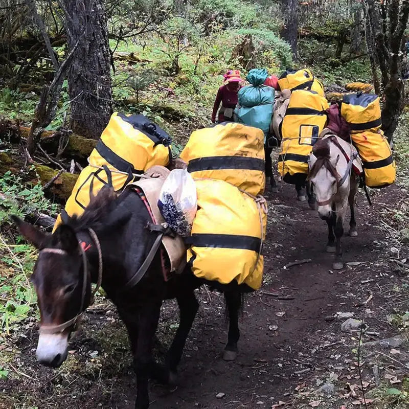 Simples Market 40L-120L waterproof duffle bags in bright yellow strapped to pack animals on a forest trail