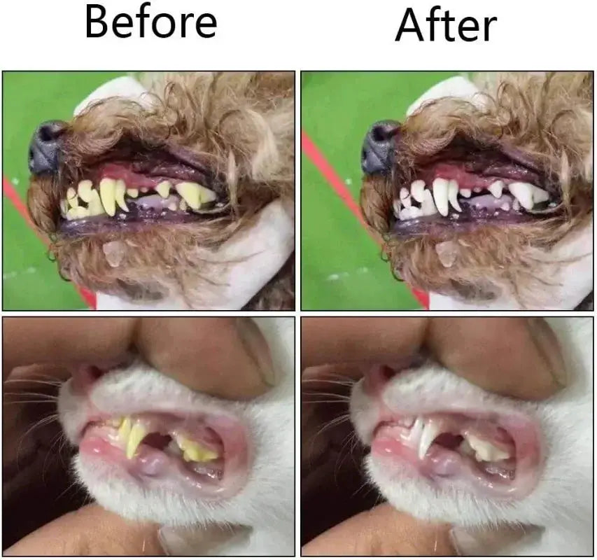Soft Silicone Finger Cuff Pet Toothbrush for Dogs and Cats Gentle Teeth Cleaning for Bad Breath and Tartar Control