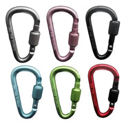 Carabiner keychains, six aluminum alloy locking D-shaped, multi-color set by Simples Market