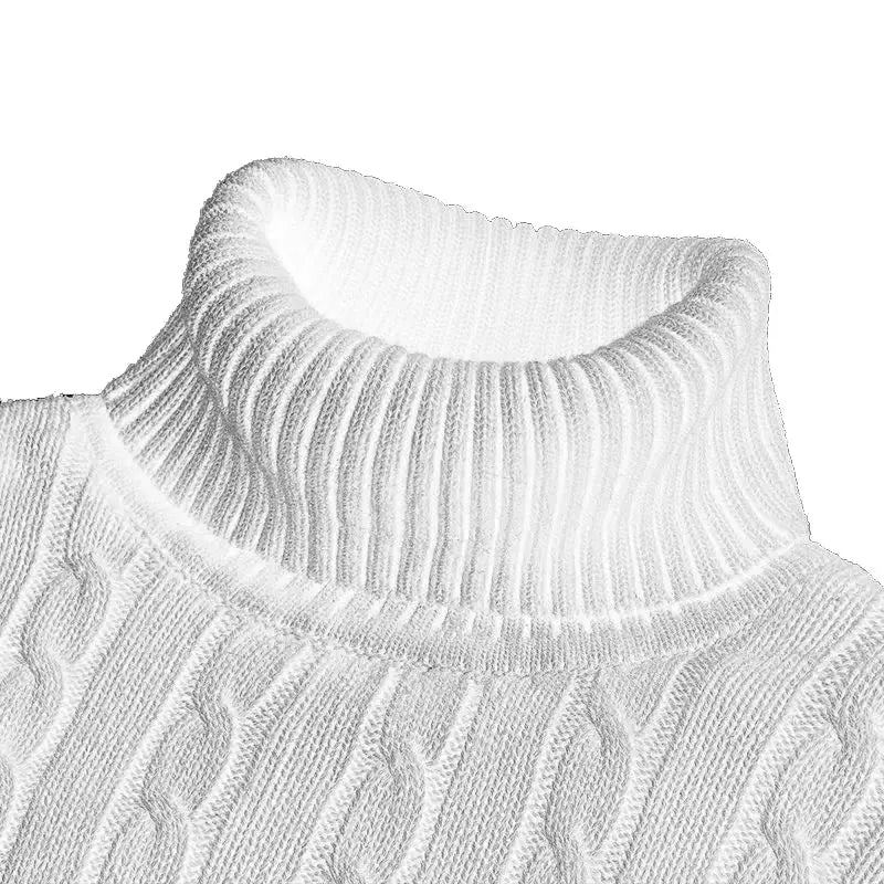 Men's Turtleneck Sweater Rollneck Knitted Jumper Casual Warm Winter Polyester Acrylic Blend