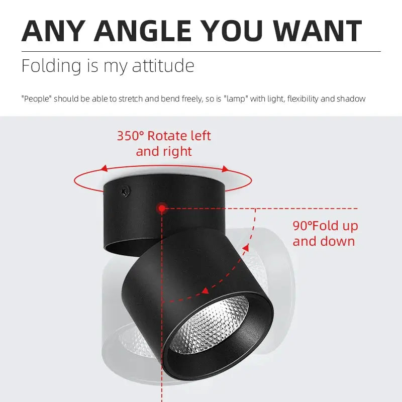 Spot LED downlight, black 220V surface-mounted ceiling lamp with adjustable tilt and 350° rotation