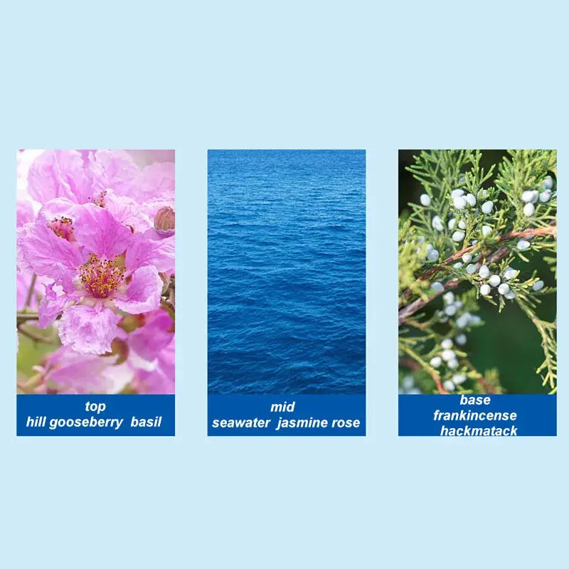 AzureSea Luxury Blue Mediterranean Unisex Perfume Fresh Fruity Woody Sea Breeze Eau De Toilette