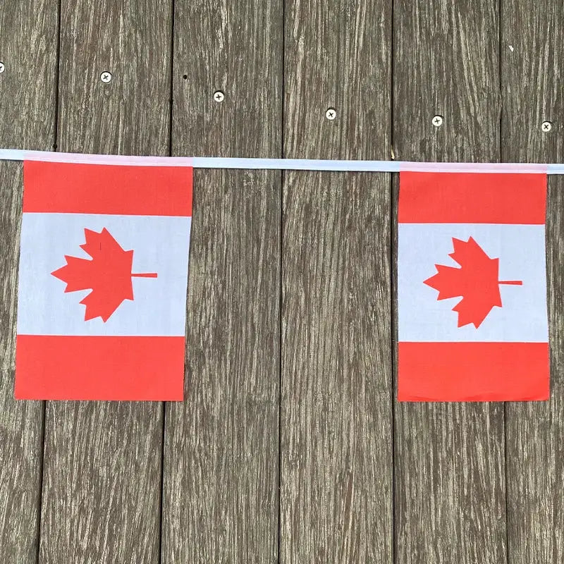 Canada Bunting Flags 20Pcs Set Pennant Banner for Parties and Holidays