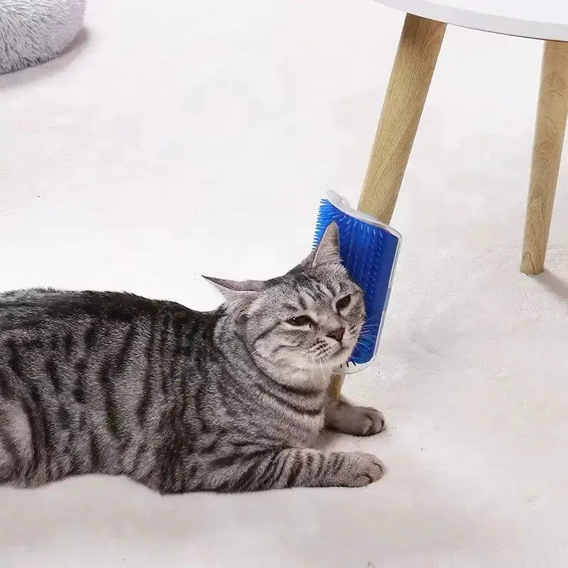 Cat massage tool blue self-cleaning brush for pet hair removal, Simples Market