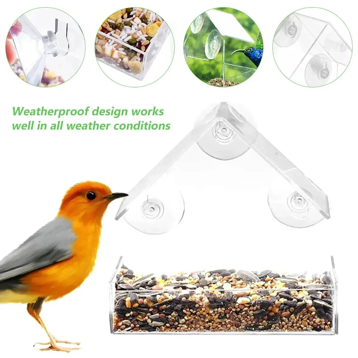 Clear window bird feeder with suction cups and sliding seed tray for garden patio yard