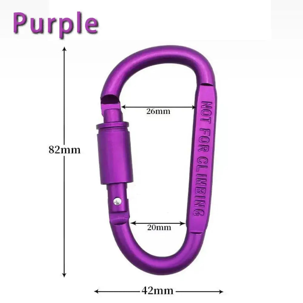 Outdoor aluminium alloy carabiner keychain purple with lock, Simples Market, not for climbing