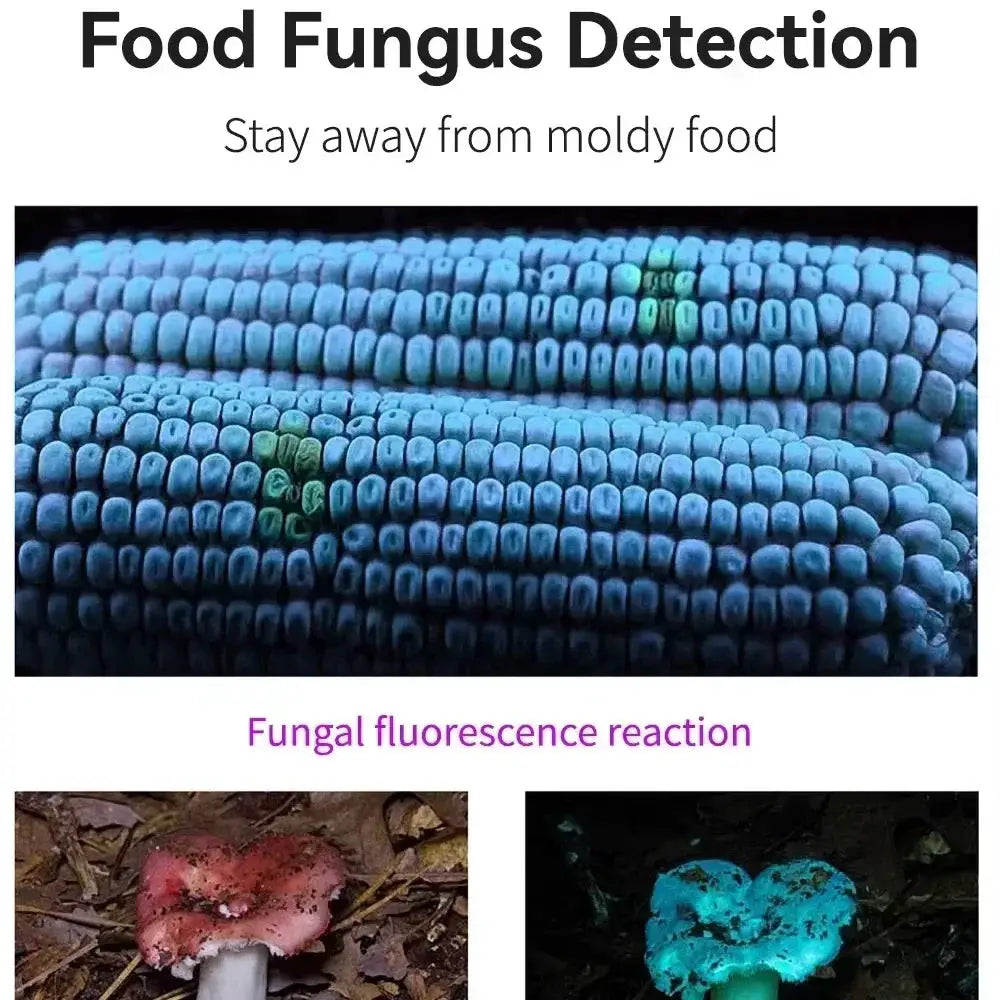 395nm UV pen flashlight with clip; blacklight for fungus detection with blue fluorescence imagery