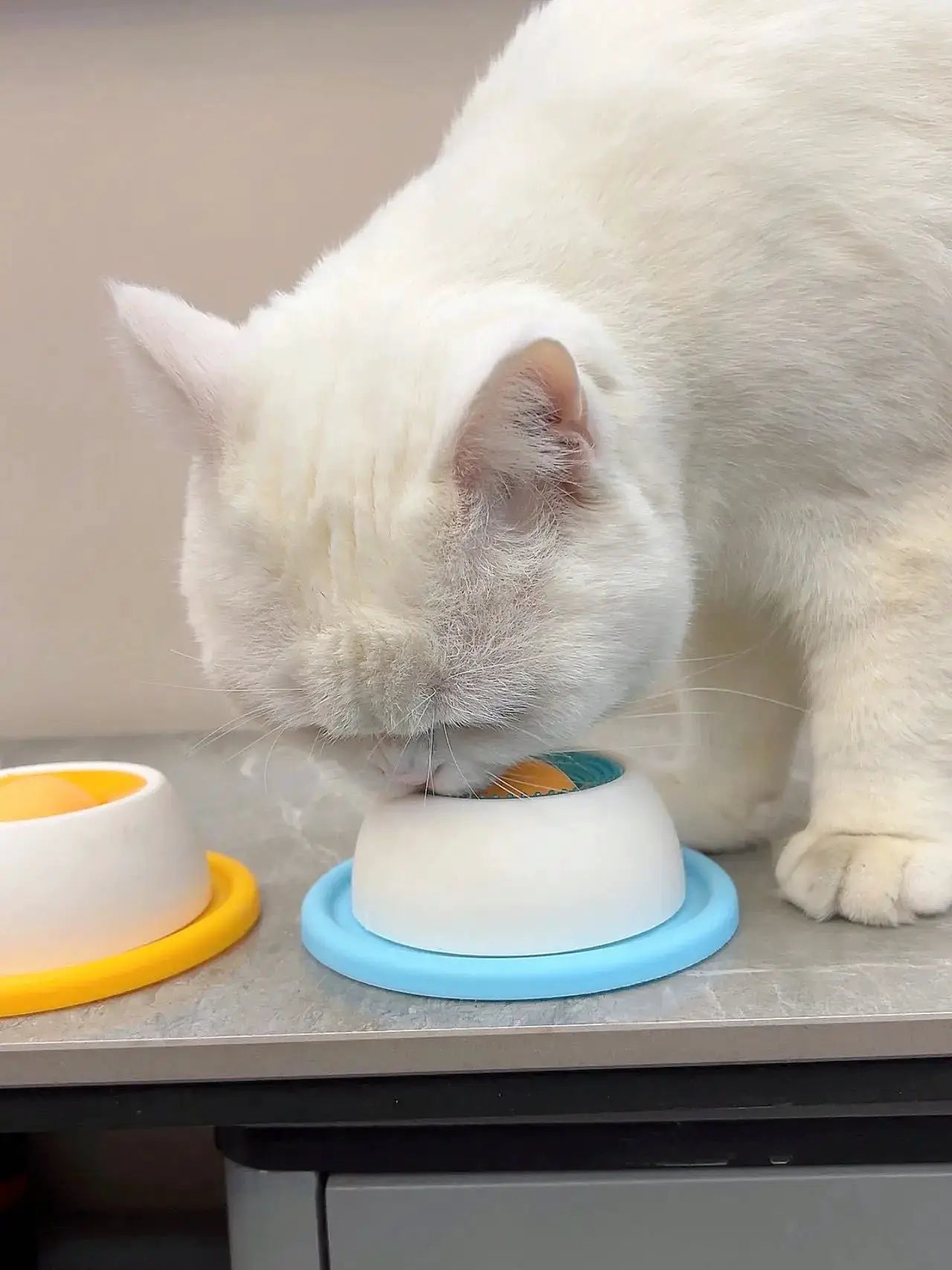 Lick toy for dogs, interactive slow-feeder with blue base and white top; cat licks it.