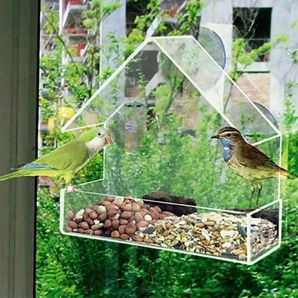 House transparent window bird feeder with clear acrylic body and suction cups; 2 birds perched - Simples Market