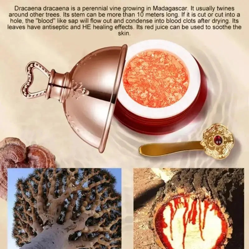 Dragon's Blood Face Cream With Retinol Placenta Brightening Lift And Firming Skincare For Radiant Complexion