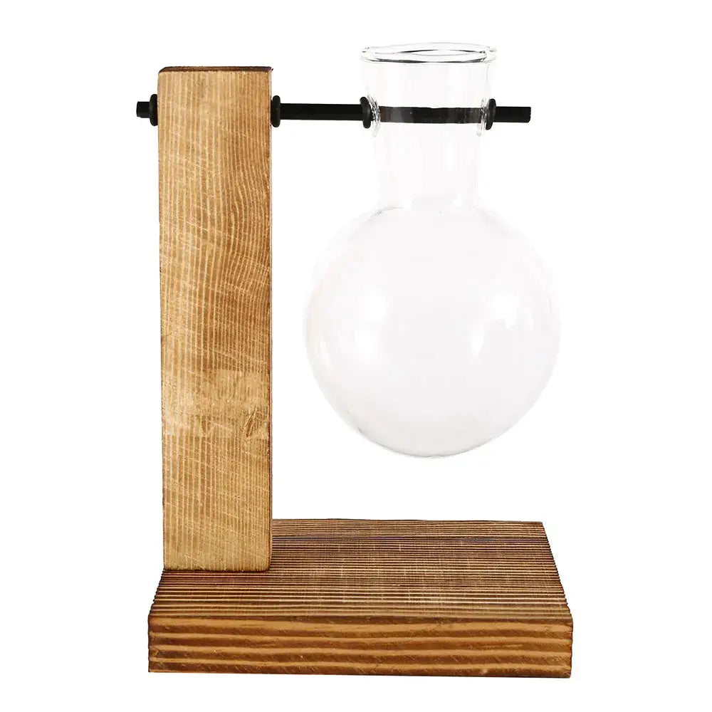 Creative Glass Desktop Planter Bulb Vase on wooden stand for hydroponic plants Simples Market