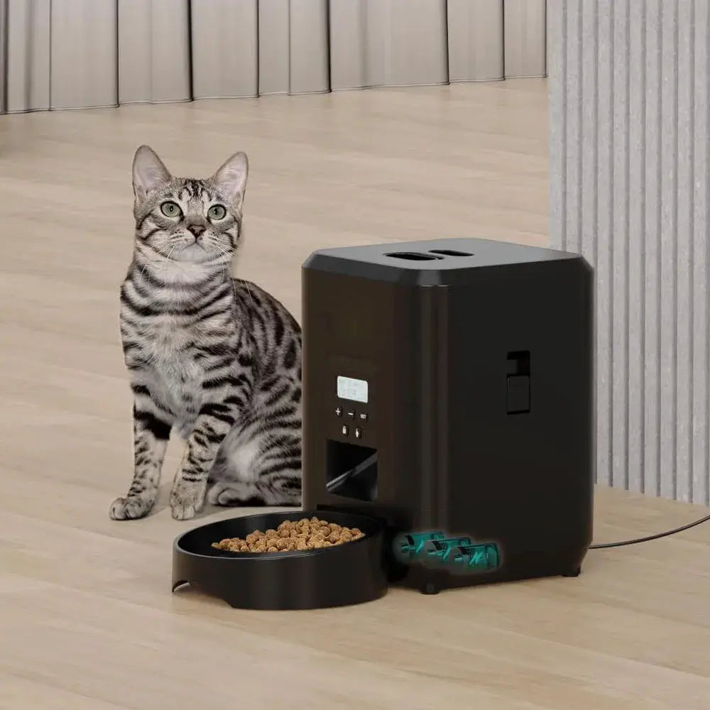 Smart pet feeder and bowl by Simples Market; black automatic cat and dog food dispenser