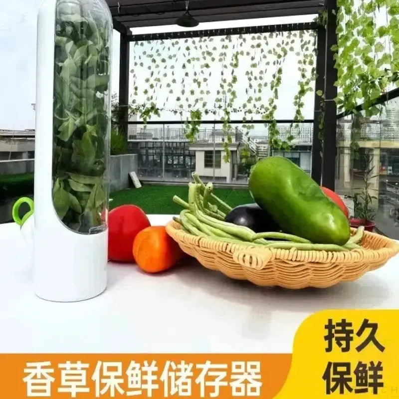 Cross Border Vanilla Vegetable Fresh Keeping Box Dust Proof Anti Pressure Environmental Protection Storage Device
