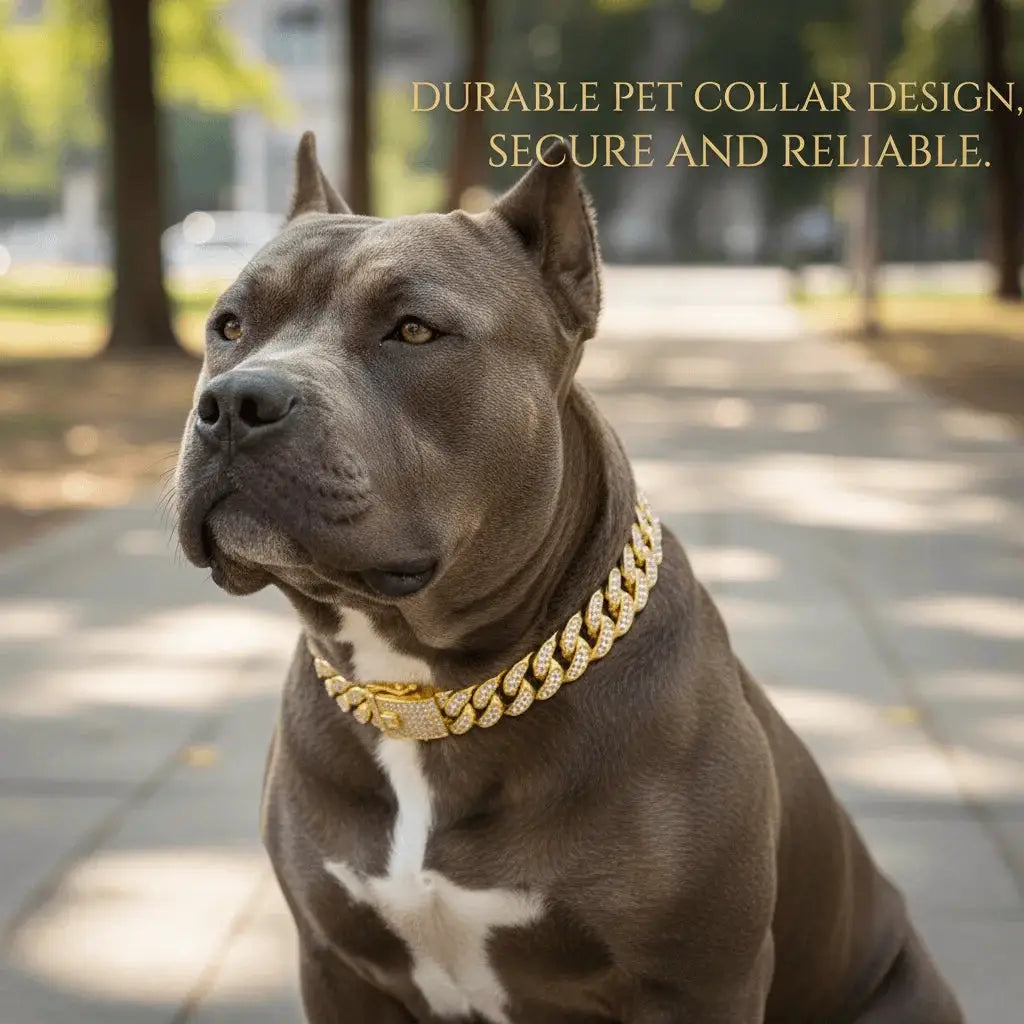 Luxury Hip Hop Dog Collar, gold-tone stainless steel Cuban chain with diamond inlays on a dog