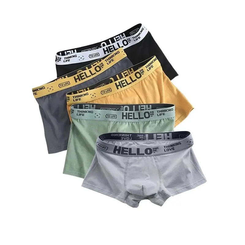 5Pcs men's boxer shorts in assorted colors with Hello branded elastic waistband