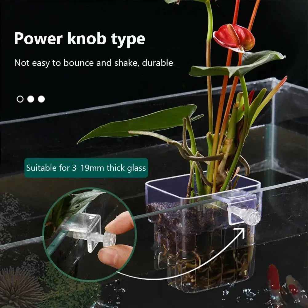 Transparent Aquarium Plant Basket Hanging Decor for Fish Tank Plant Holder and Planter