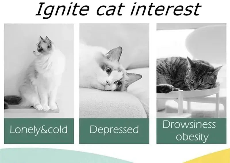 Cat toy collage: three grayscale cat panels with captions Lonely&cold, Depressed, Drowsiness obesity.