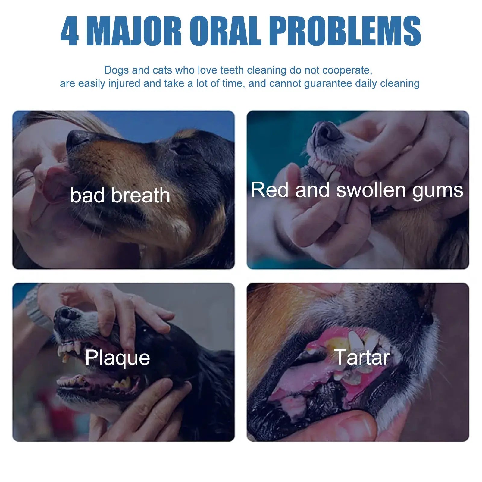 Pet mouth cleaning foam by Simples Market; 4 major oral problems shown: bad breath, red and swollen gums, plaque, tartar.