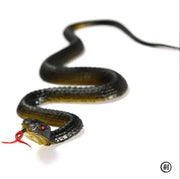 45cm Fake Realistic Rubber Toy Snake Anaconda Simulation Scary Halloween Prank Prop Bird Deterrent