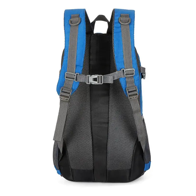 Classic 40L outdoor backpack, blue with grey padded shoulder straps and breathable mesh back panel