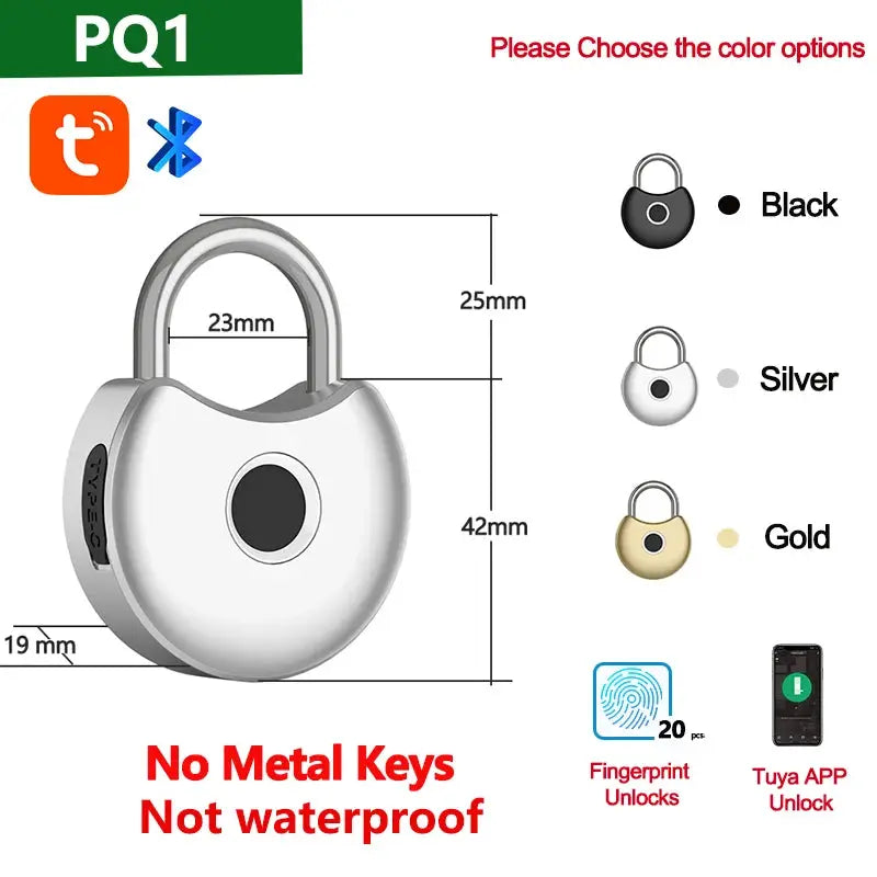 RAYKUBE Tuya smart padlock with fingerprint unlock and USB charging; available in black, silver, or gold