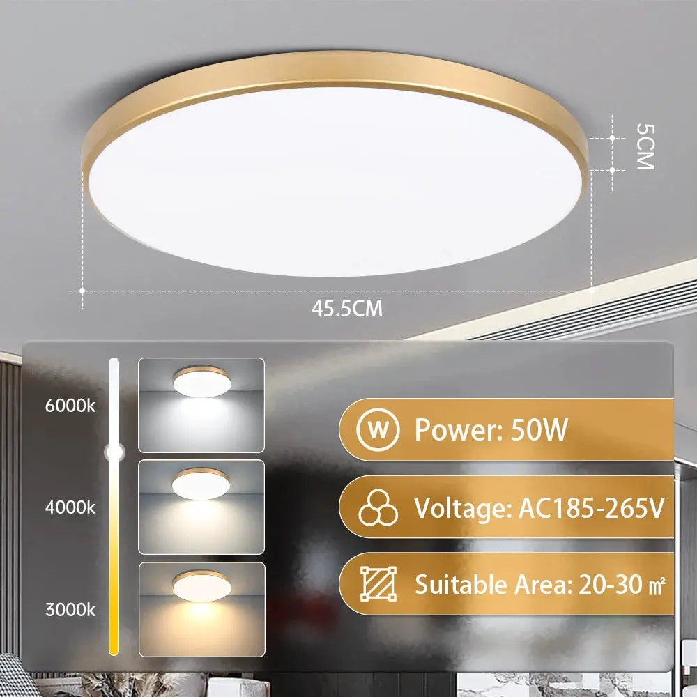 Simples Market golden LED ceiling lamp, round ultra-thin panel with 50W, AC185-265V