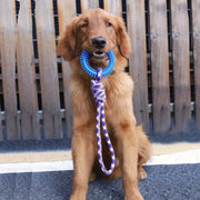 Chew Resistant Rope Dog Toys TPR Durable Colorful Woven Knot For Small Medium Large Dogs Dental Health