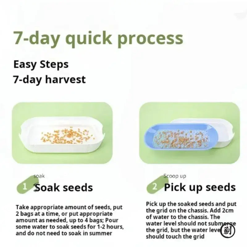 Hydroponic Cat Grass Box Kit for Easy Growth Soilless Planting Cat Grass Pot Set Cat Treats