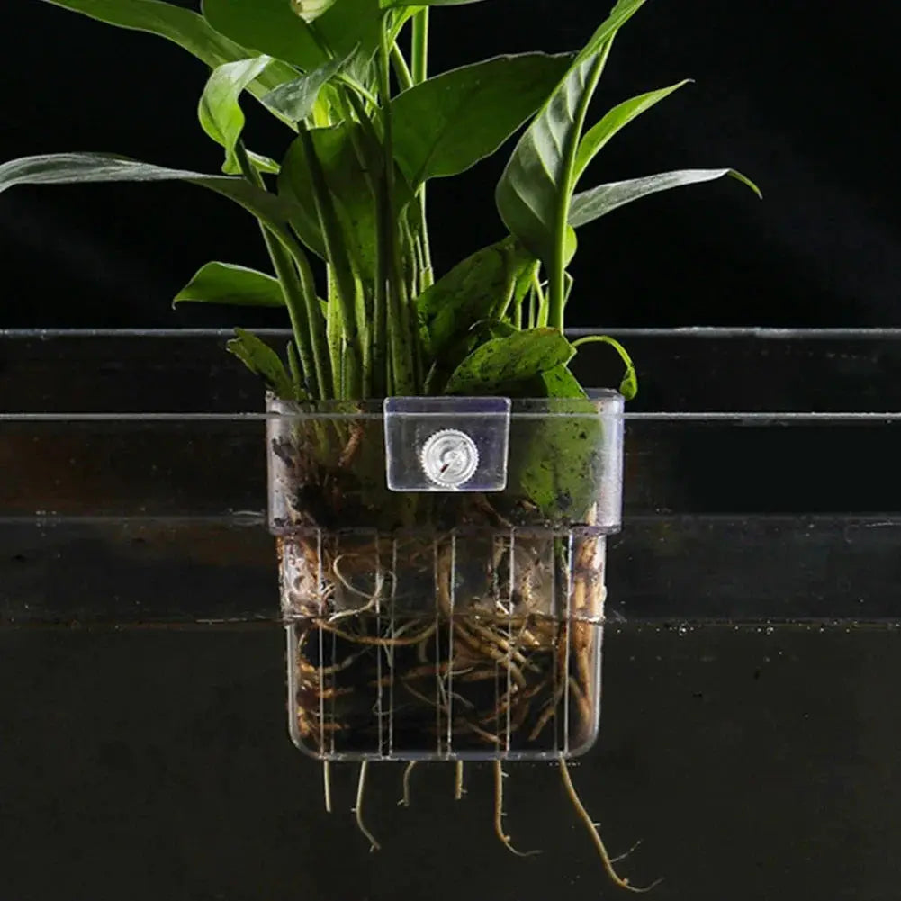 Transparent Aquarium Plant Basket Hanging Decor for Fish Tank Plant Holder and Planter
