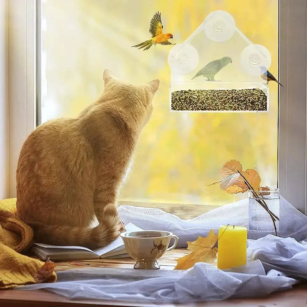 Simples Market transparent window bird feeder with suction cups and sliding seed tray