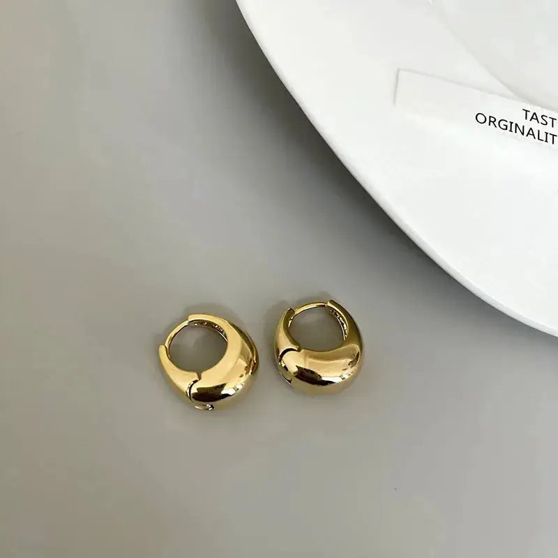 Stainless Steel Chunky Hoop Earrings for Women and Girls Round Circle Punk Jewelry Statement Earrings