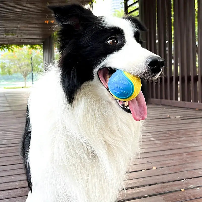 Dogs Interactive Toys Soft TPR Ball Squeaky Bite Resistant For Pet Teeth Cleaning