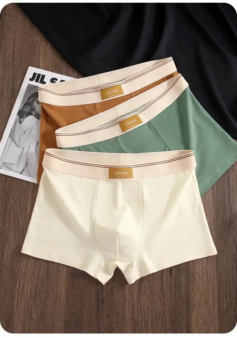 3-pack men's cotton boxer shorts in cream, brown and green