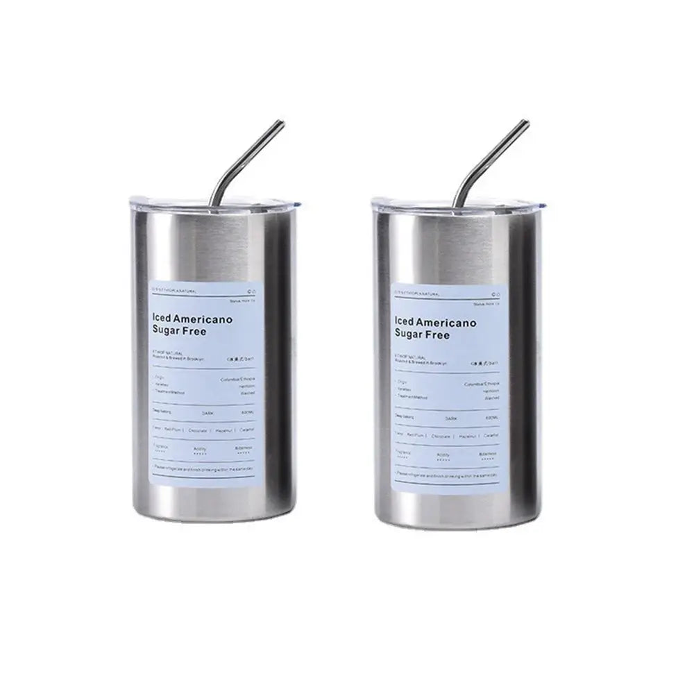 600ml Stainless Steel Thermos Bottle With Straw Insulated BPA Free