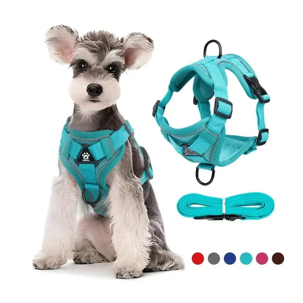 No Pull Dog Harness Leash Set Adjustable Reflective Vest for Small Dogs and Cats Quick Release Buckle