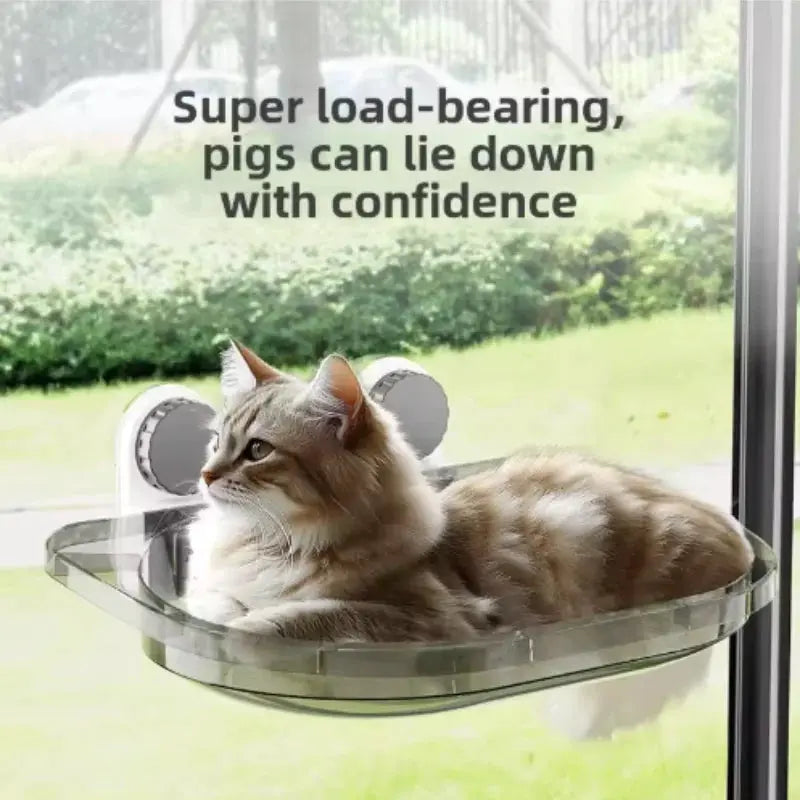 Simples Market window-mounted cat hammock bed; clear plastic perch with suction cups, 20 kg capacity.